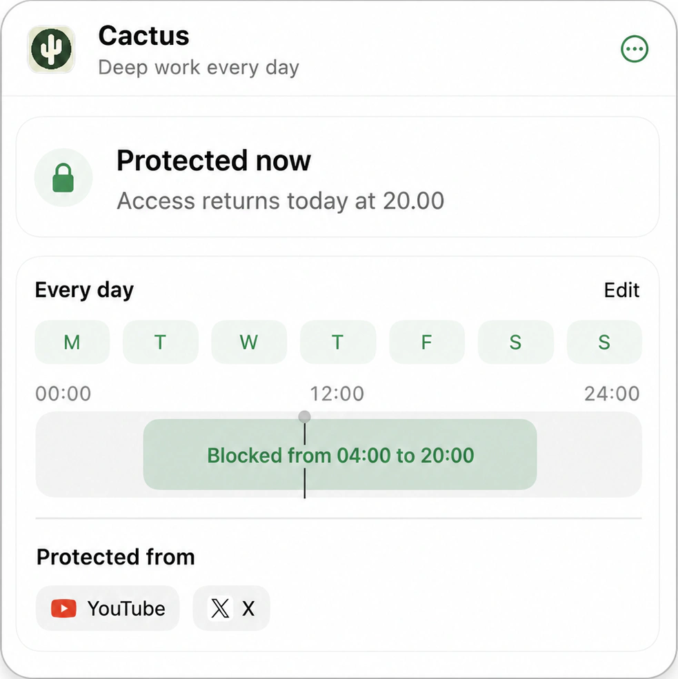 Cactus with an active recurring website block for YouTube and X